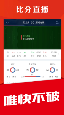 球迷巨幅 Tifo